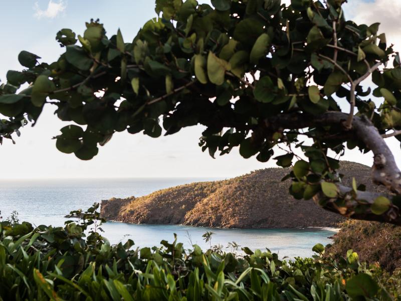 Guana Island , Guana Island  