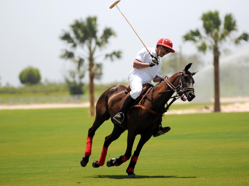 Eden Roc Cap Cana Boutique Suites, Villas and Beach Club  , Punta Cana  