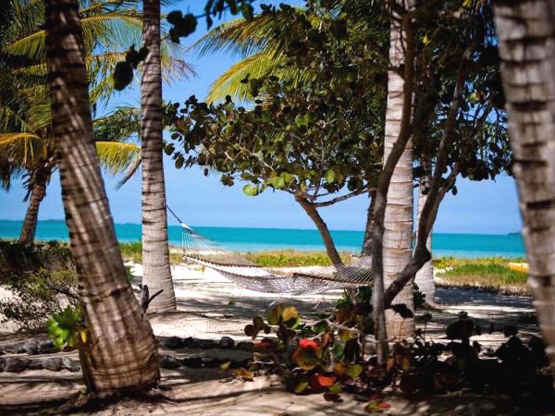 Kamalame Cay , Andros  